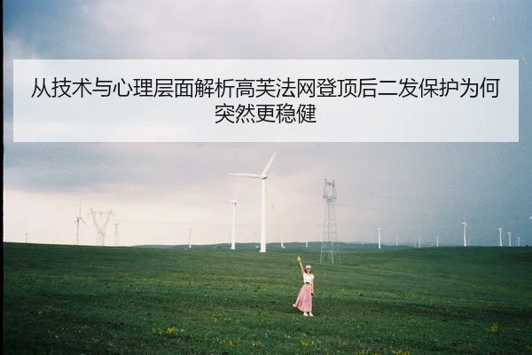 cong-ji-shu-yu-xin-li-ceng-mian-jie-xi-gao-fu-fa-wang-deng-ding-hou-er-fa-bao-hu-wei-he-tu-ran-geng-wen-jian-2-874.jpg