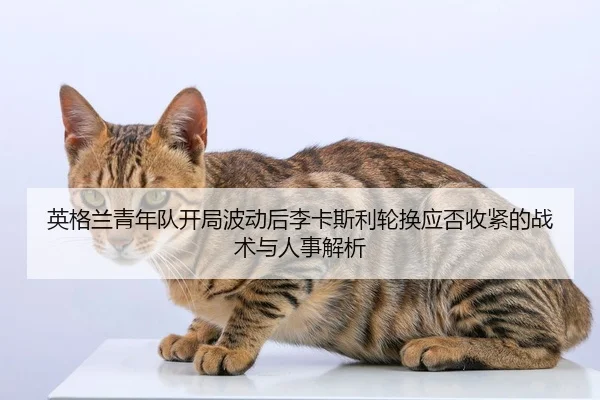 ying-ge-lan-qing-nian-dui-kai-ju-bo-dong-hou-li-ka-si-li-lun-huan-ying-fou-shou-jin-de-zhan-shu-yu-ren-shi-jie-xi-2-881.jpg